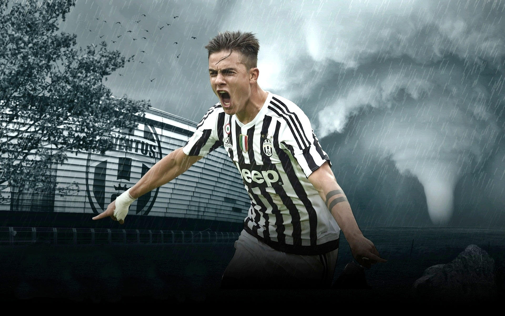 镜报：麦克托米奈上赛季意甲收官战亲签球衣成交价超2.4万欧（镜报称：麦克托米奈上赛季意甲末轮亲签球衣拍卖价超2.4万欧）